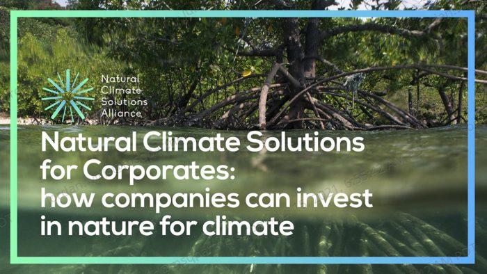 Natural Climate Solutions release Carbon Credits corporate guidance : Nature-Based