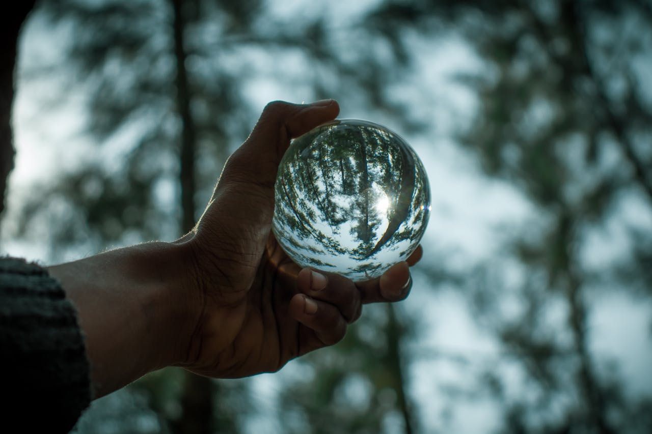 Holding up magnifying glass ball to forest